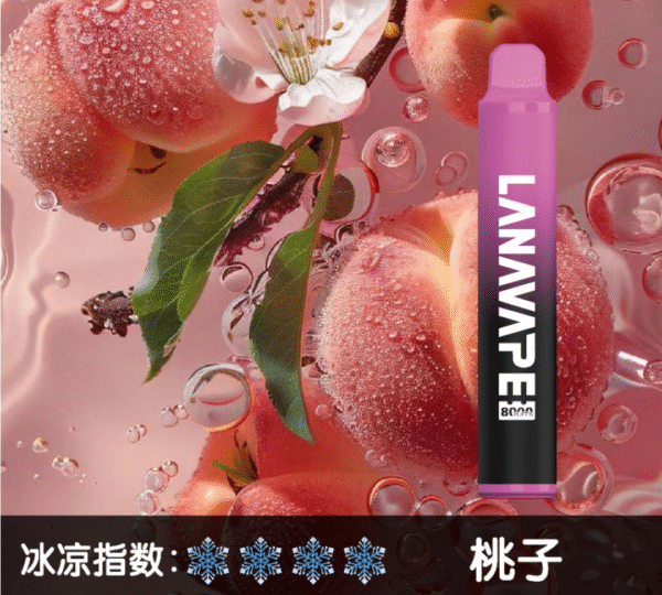 【LANA抛棄式8000口】