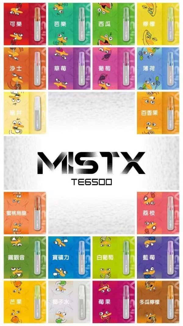 鴨嘴獸/MISTX TE6500口拋棄式電子菸